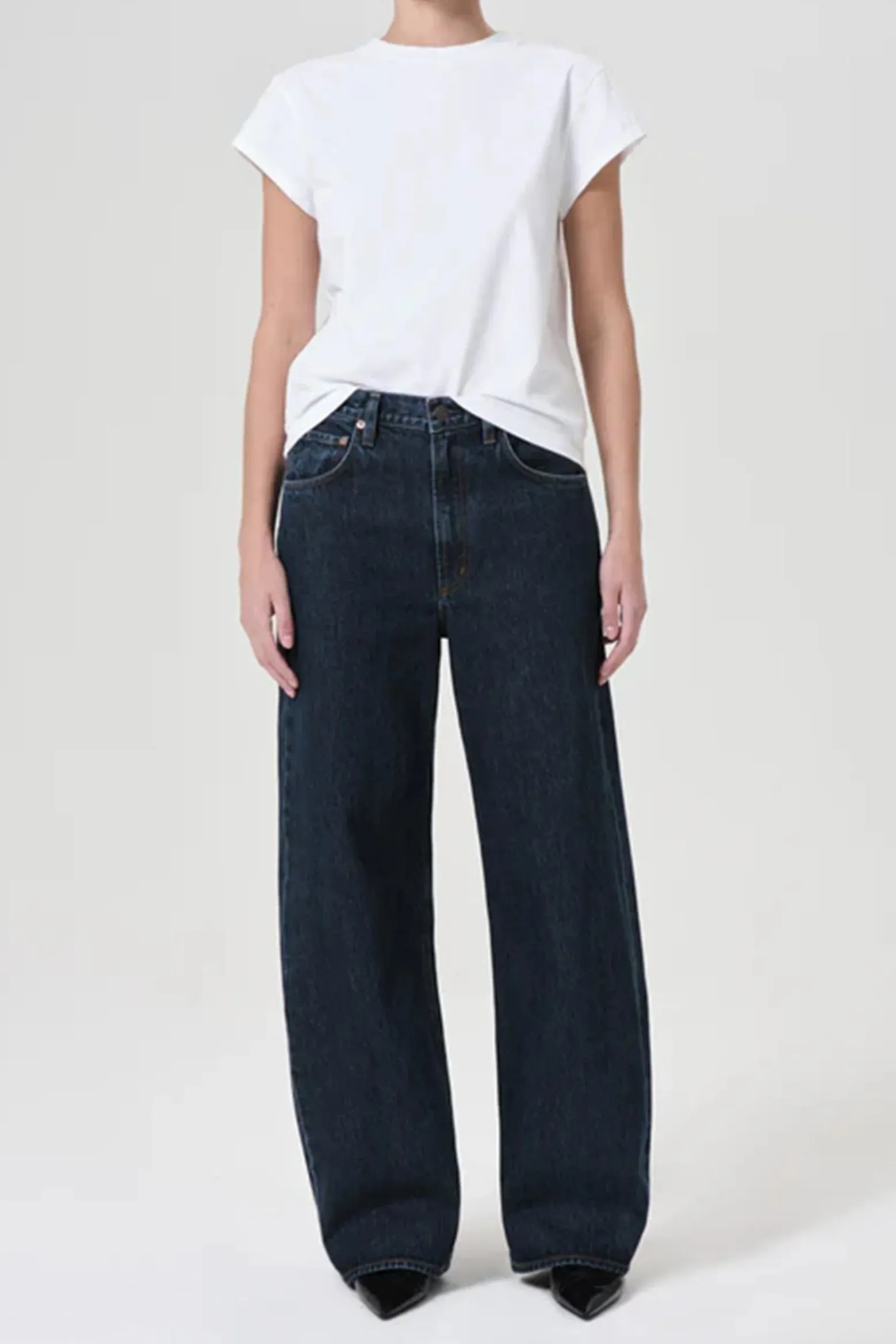 Agolde Low Curve Jean in Pendulum